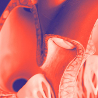 Von der Aufnahme bis zur Abrechnung: Praxisnahe Use Cases für durchgängig digitale Prozesse im Gesundheitswesen