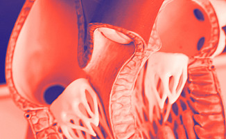 Digitalisierung in die Praxis bringen – auf der Digital Health Conference 2025